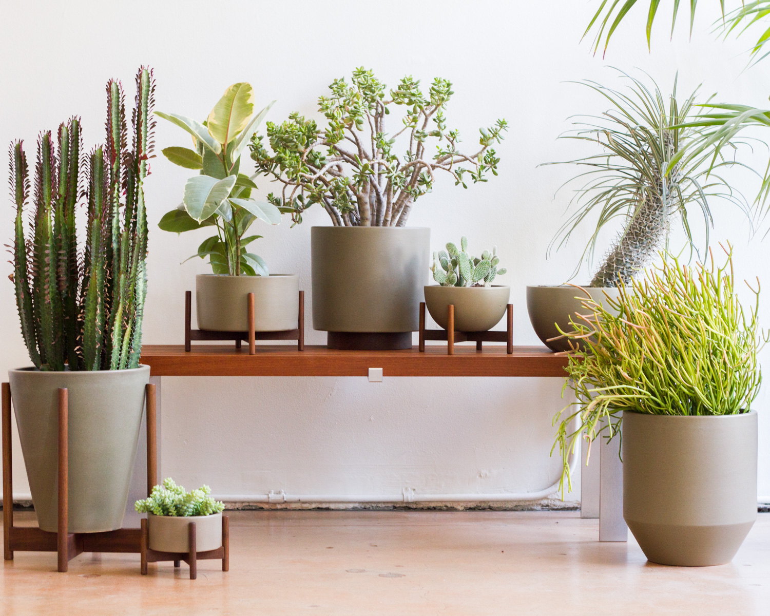 ミッドセンチュリーデザイン カリフォルニア で生まれた美しいプランター 植木鉢 Ibukiya ブログ